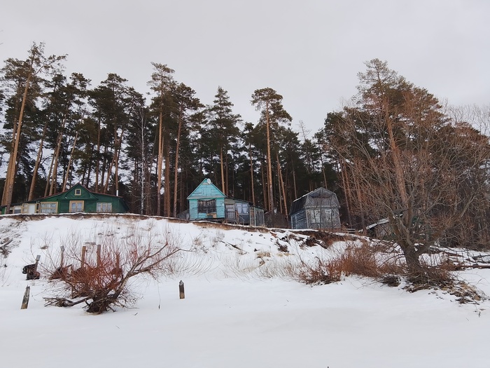 База отдыха Теплоконтроль занятая дачными домиками.