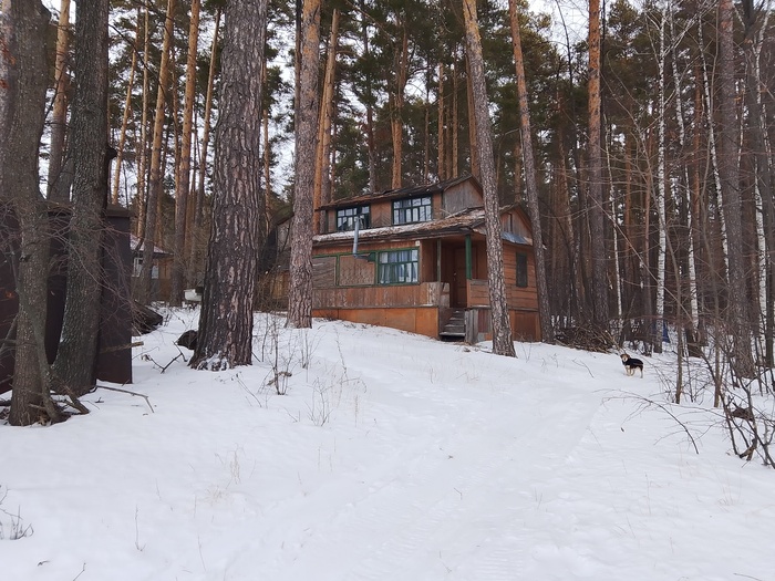 Теплоконтроль