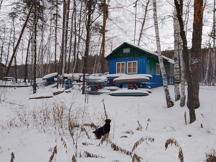 Б.О. Волжанка Водные велосипеды -катамараны (под охраной)