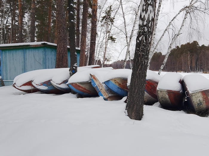 Б.О. Волжанка