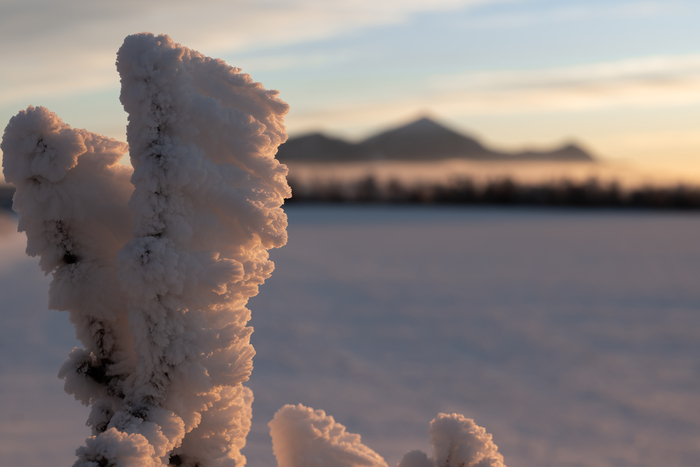 ���� ������ �� ���������