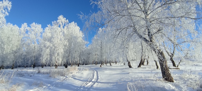 ����� �� ���� �������� ������ ���������� �� ������