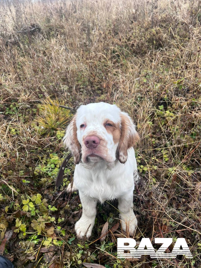 Вот она - самоотверженная любовь!
