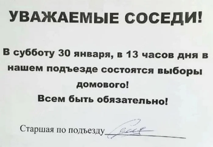You can't feed Muscovites bread, just let them choose! - Picture with text, Humor, Elections, Entrance, Brownie, Neighbours, Repeat