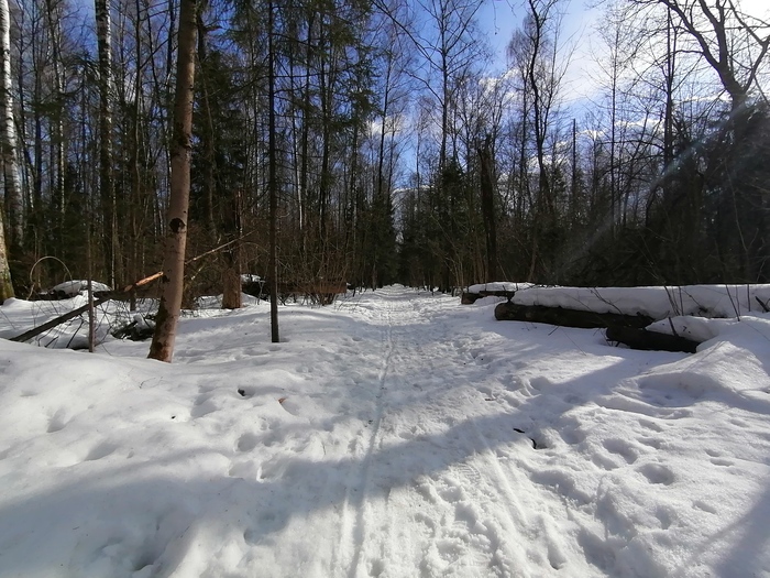 Ответ на пост «Конкурс зимних фотографий на Пикабу»