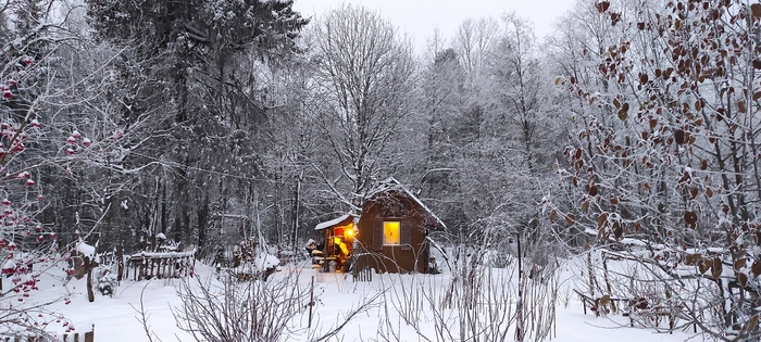 ����� �� ���� �������� ������ ���������� �� ������