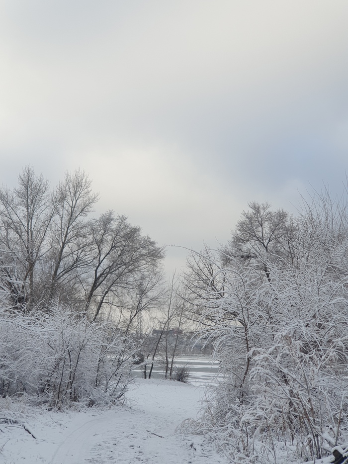 ����� �� ���� �������� ������ ���������� �� ������