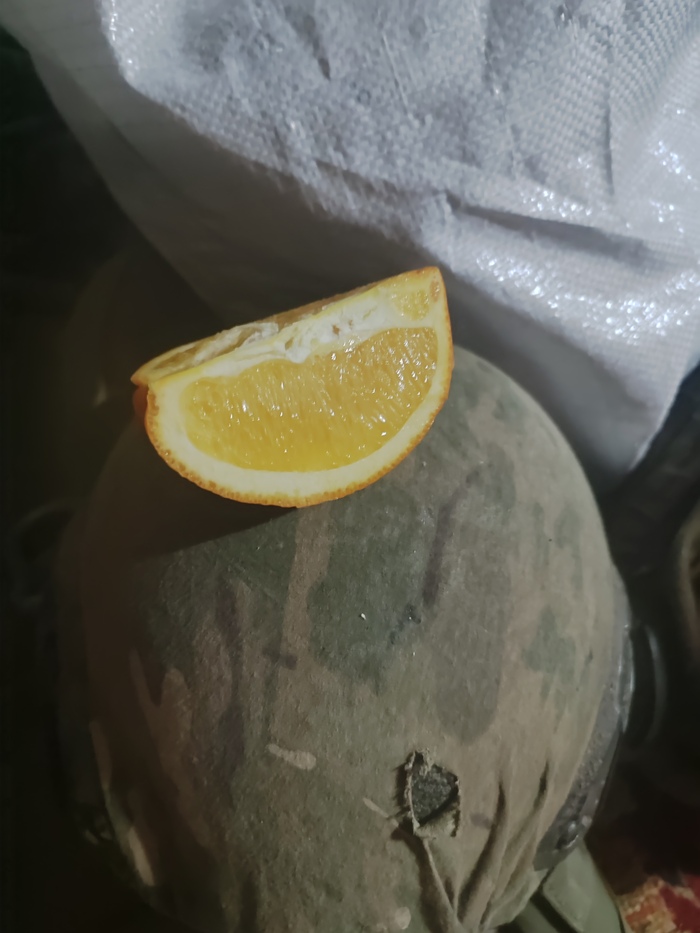      , 
