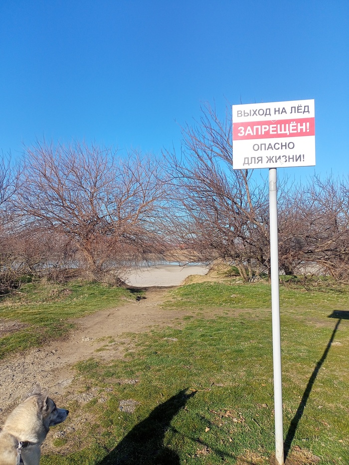 ����� �� ���� �������� ������ ���������� �� ������