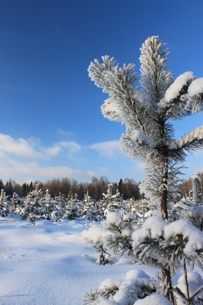 ����� �� ���� �������� ������ ���������� �� ������