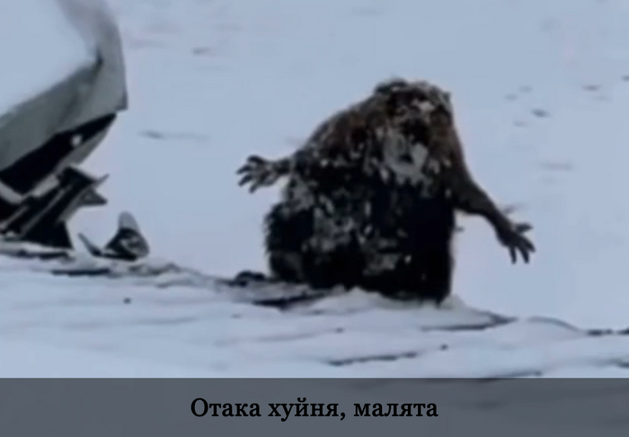    ?