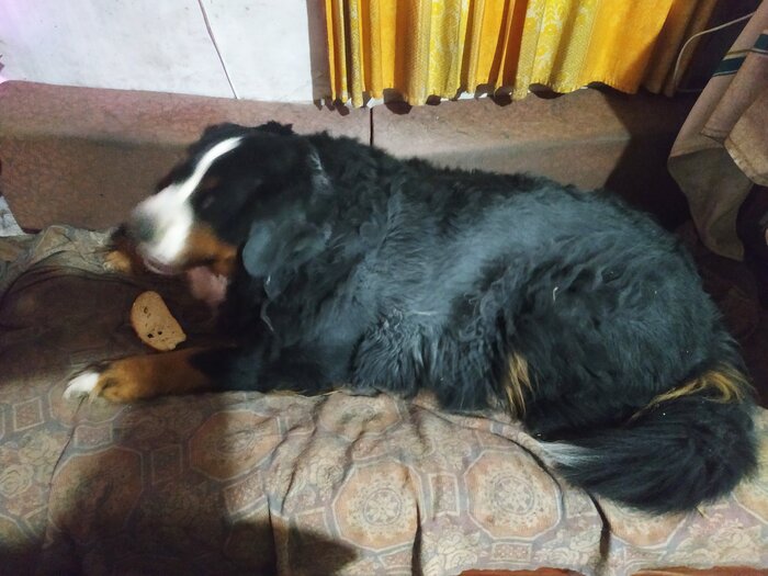 ��� � �������.