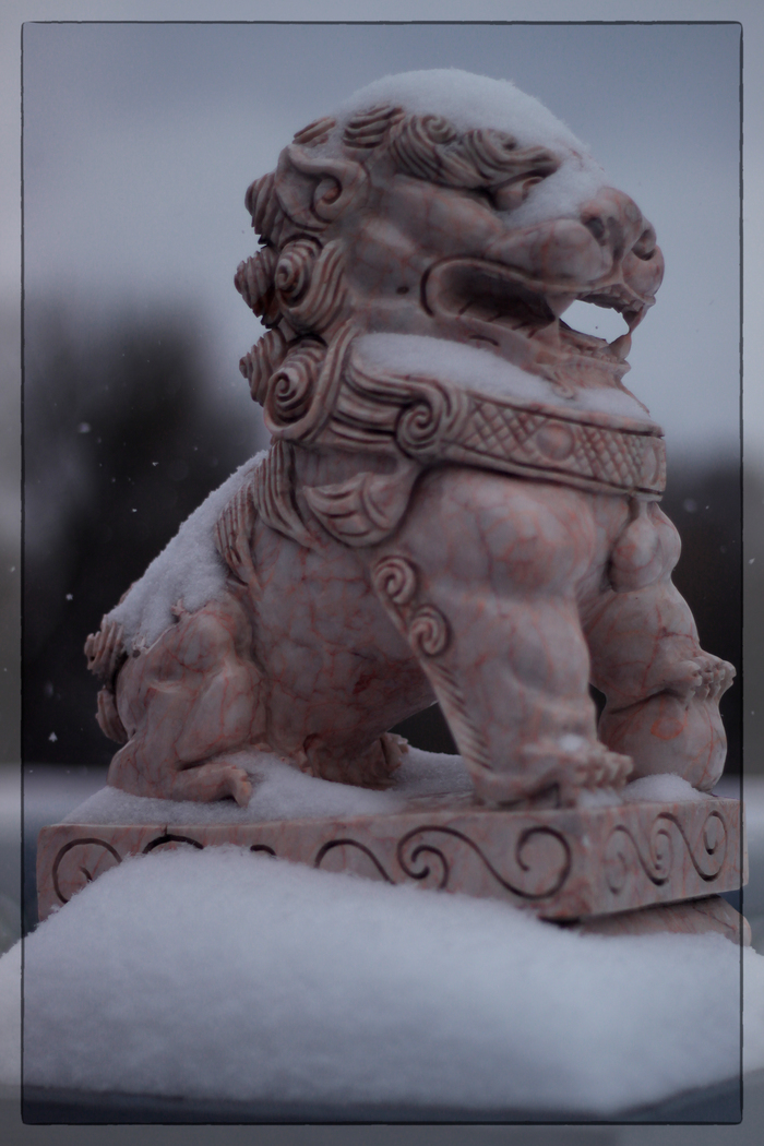 ����� �� ���� �������� ������ ���������� �� ������