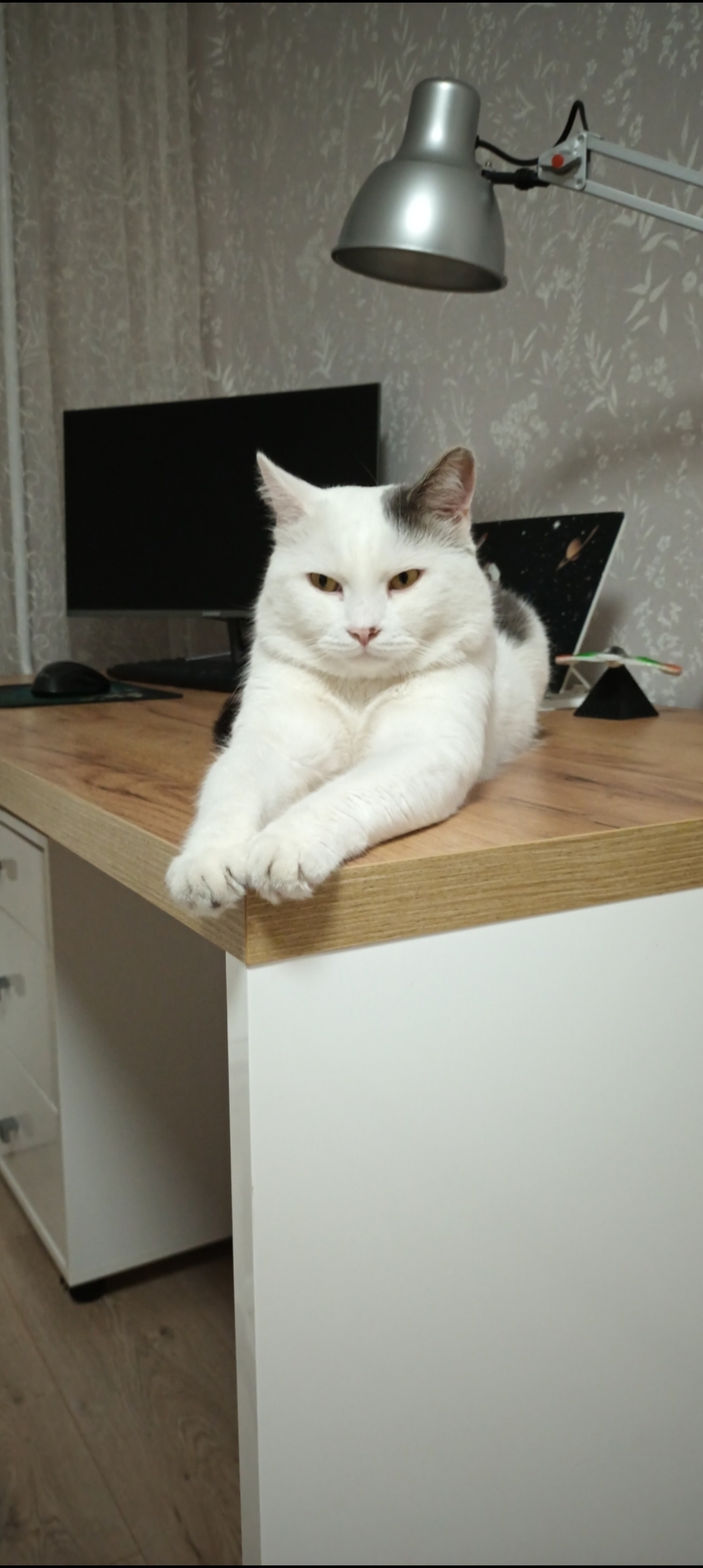 смотрящий