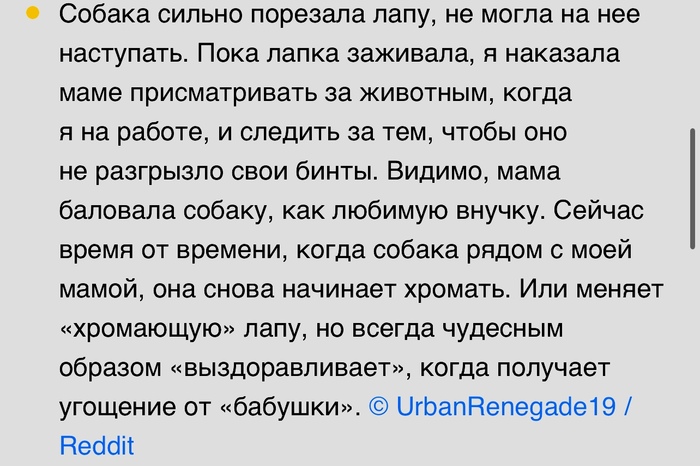 Хитрая собачка