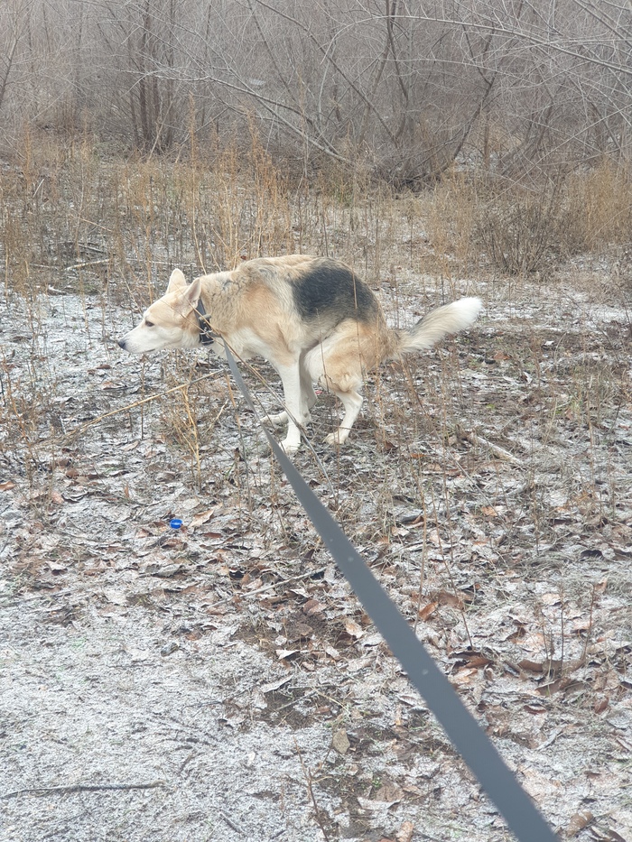 ����� �� ���� �������� ������ ���������� �� ������