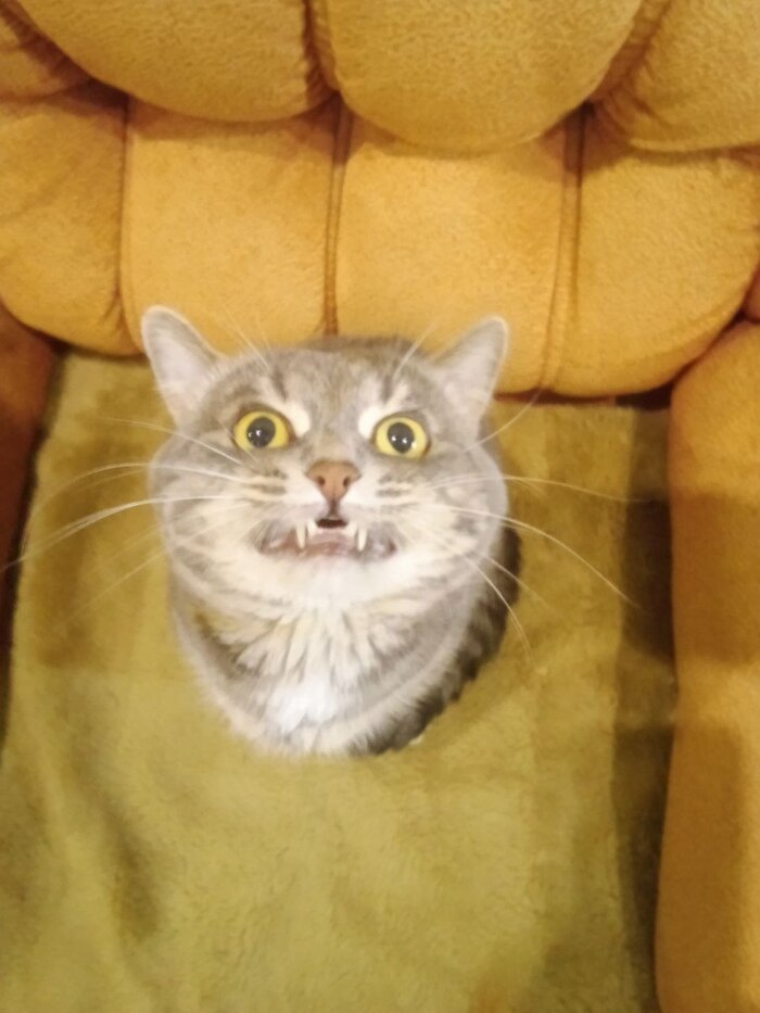 Ответ на пост «Конкурс зимних фотографий на Пикабу»