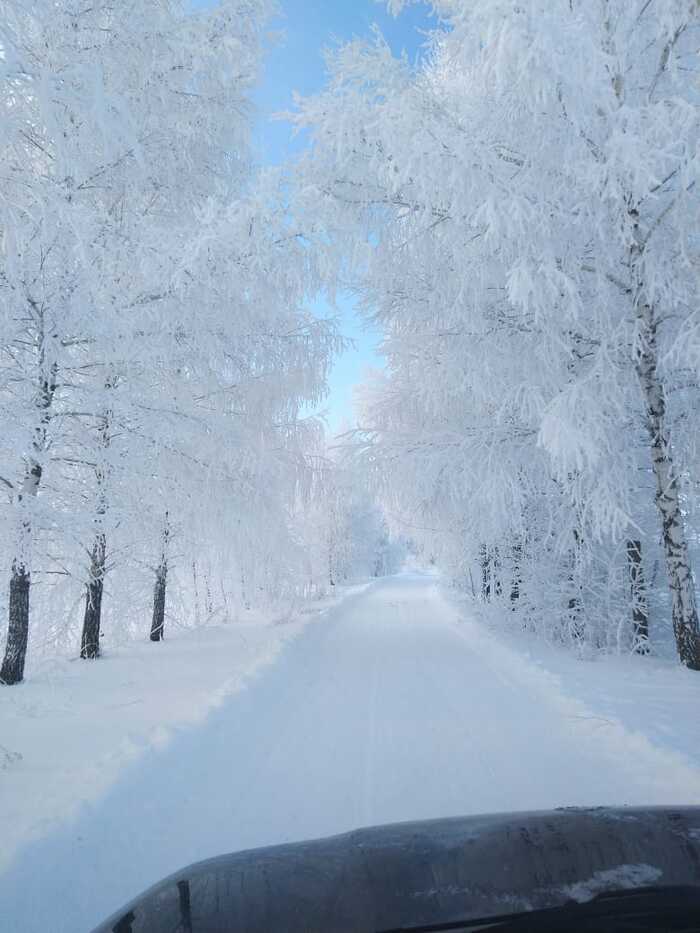 Ответ на пост «Конкурс зимних фотографий на Пикабу»