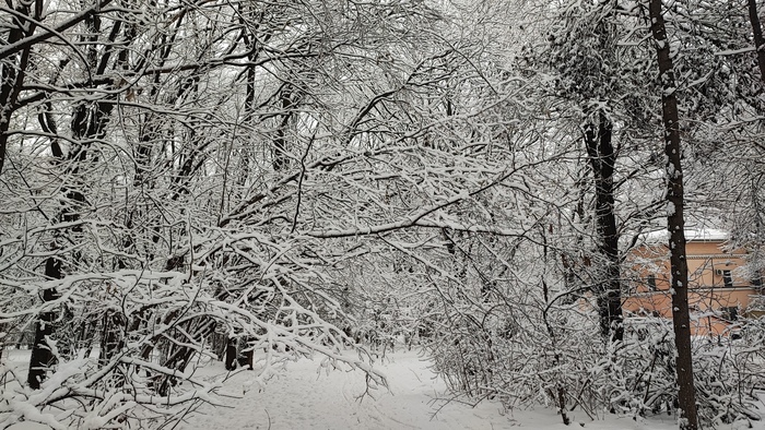  , , 31 ,    ,  .  ,   +5     :/