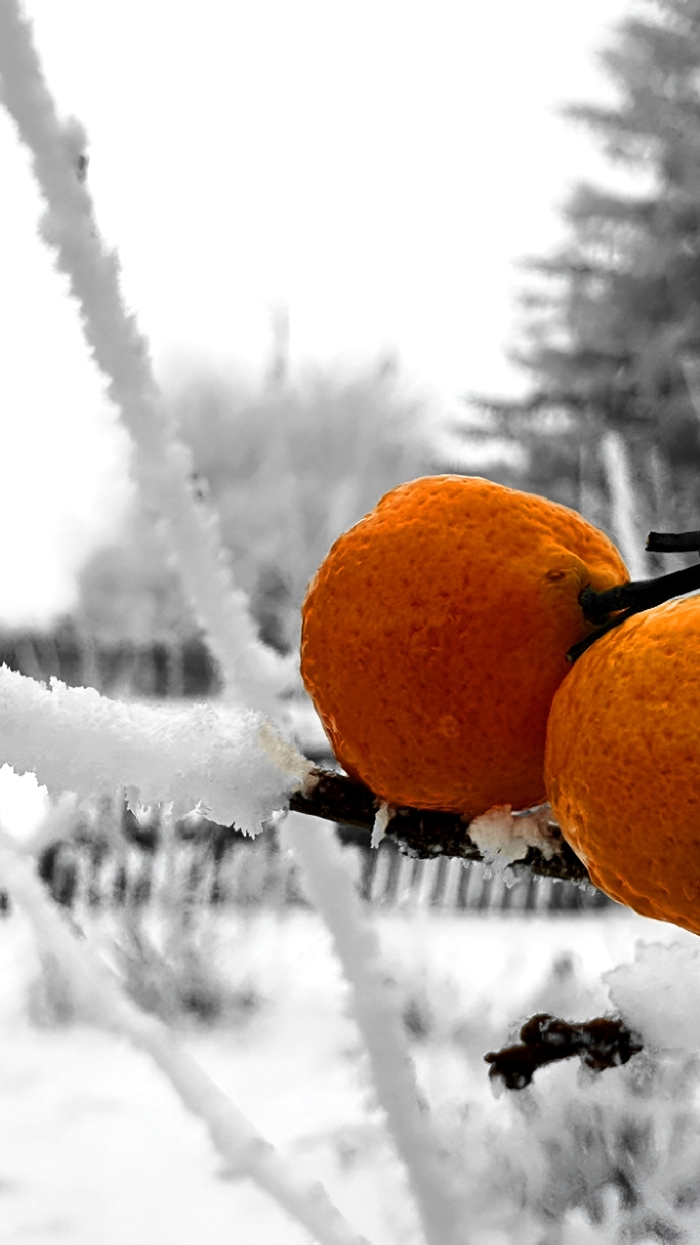 Оранжевое настроение))