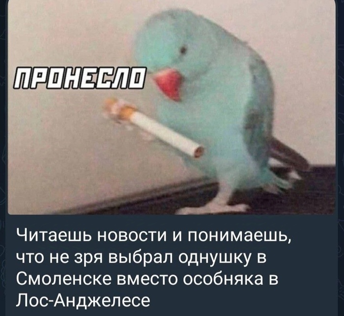    ,   , Telegram (), , , -, 