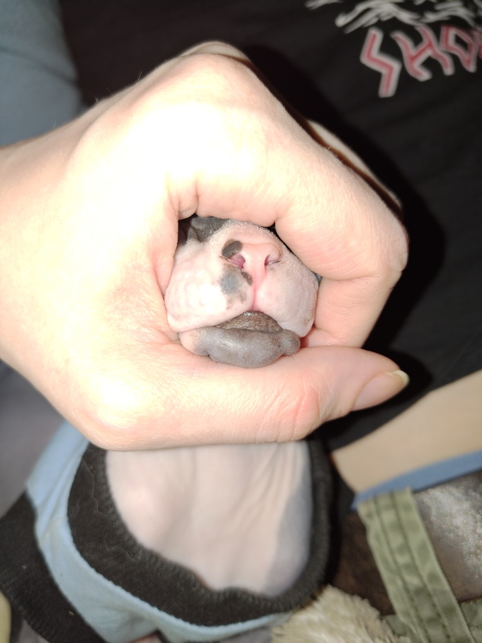   , , ,  , 