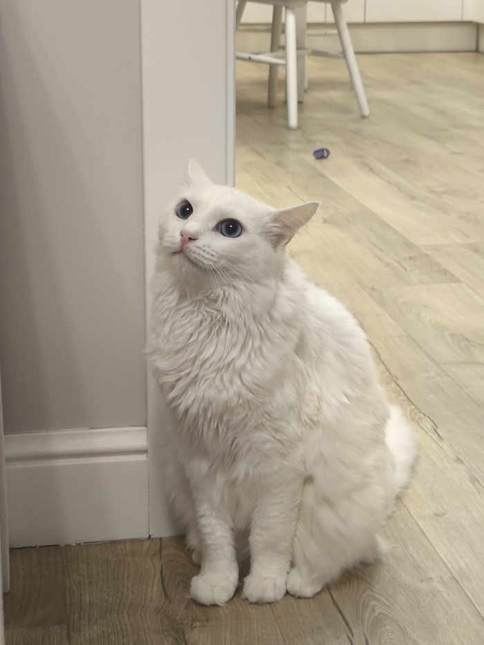       ,  , ,  , , 