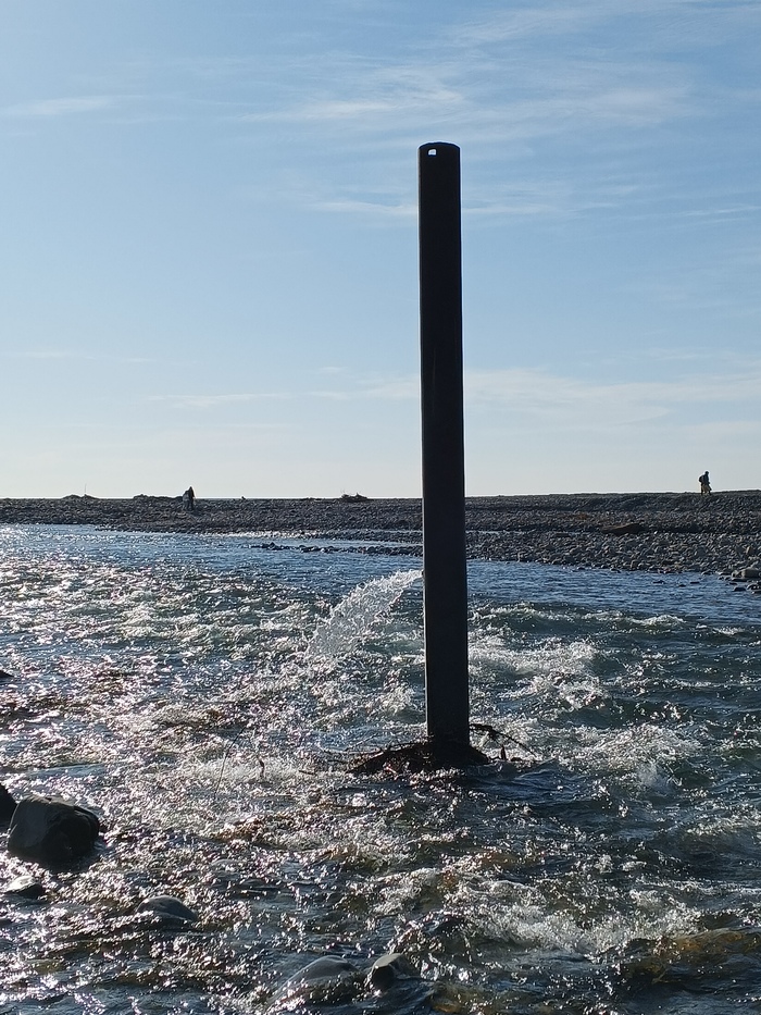 Может когда нибудь человечество разгадает этот феномен.....