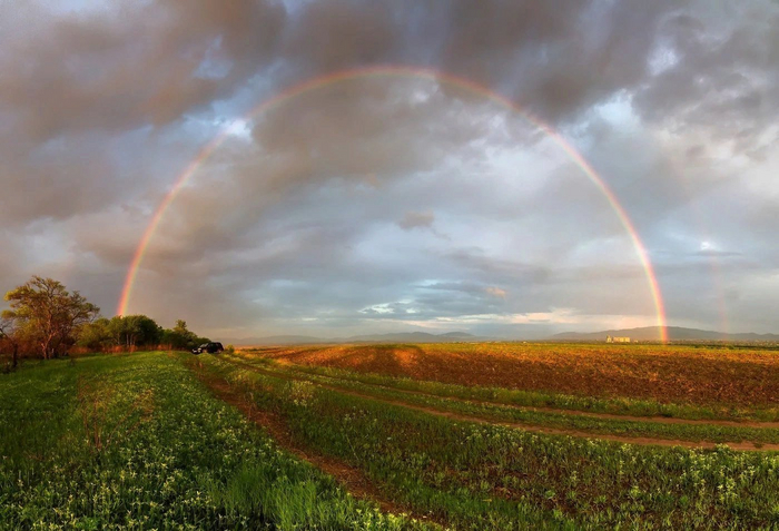 Rainbow