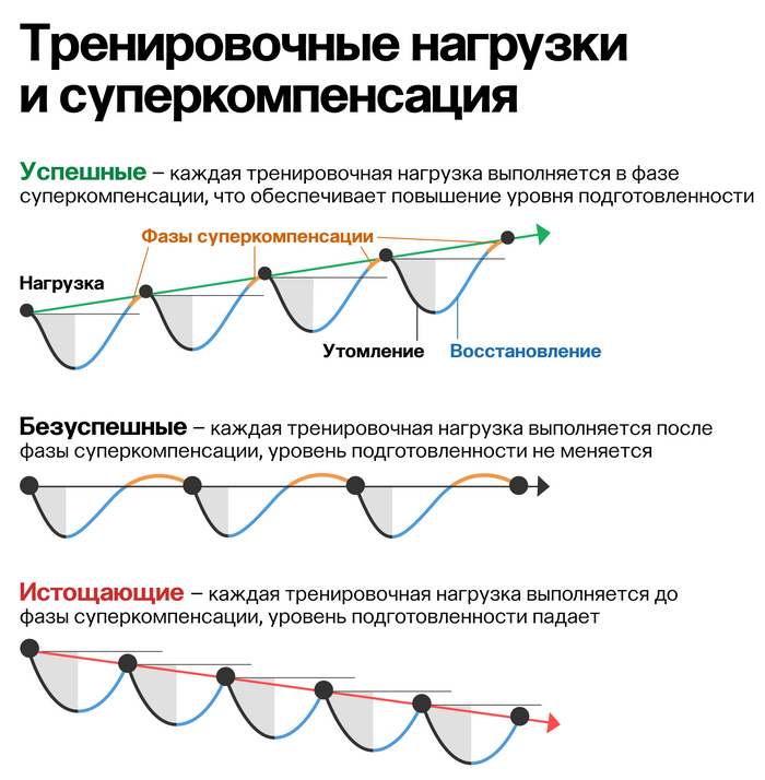 График восстановления и суперкомпенсации