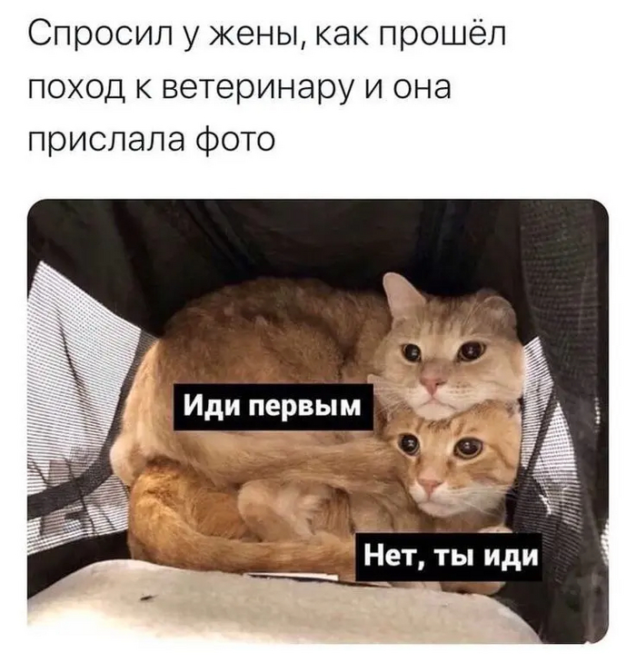 ЧЕЛОВЕК - ШВЕЙЦАРСКИЙ НОЖ