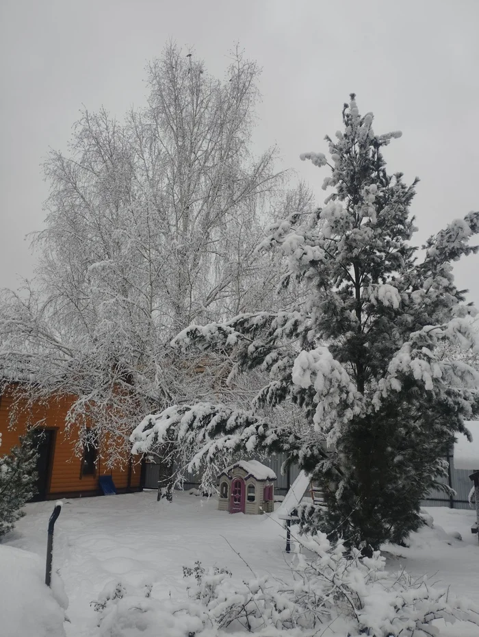 Reply to the post Winter Photo Contest on Pikabu - My, New Year, Peekaboo, Competition, Tucked away in 2024, The photo, A wave of posts, Reply to post