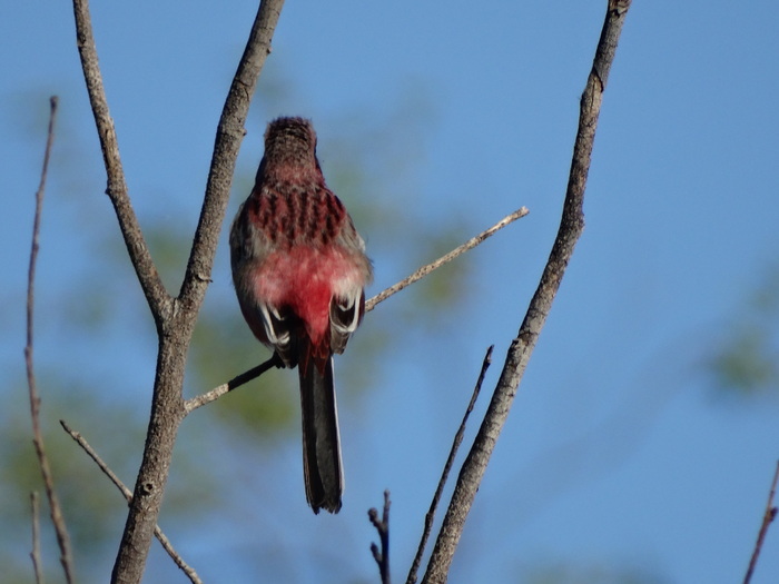 Отвернулся, видимо мы надоели ему)