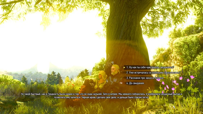 Ciri was already a witcher in The Witcher 3? - My, Games, Witcher, The Witcher 3: Wild Hunt, The Witcher 4, Ciri, Geralt of Rivia