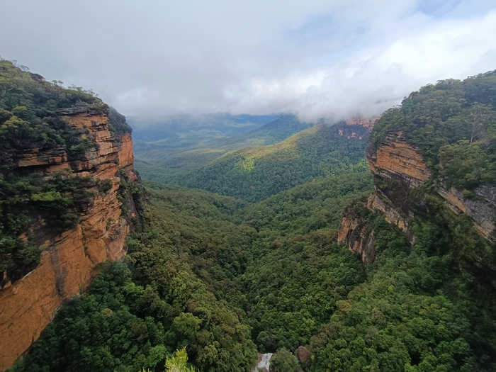   (Blue Mountains) ,   , , , , ,  , 