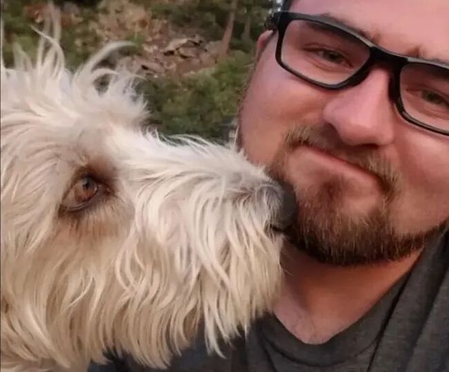 ��������� - ��� �������