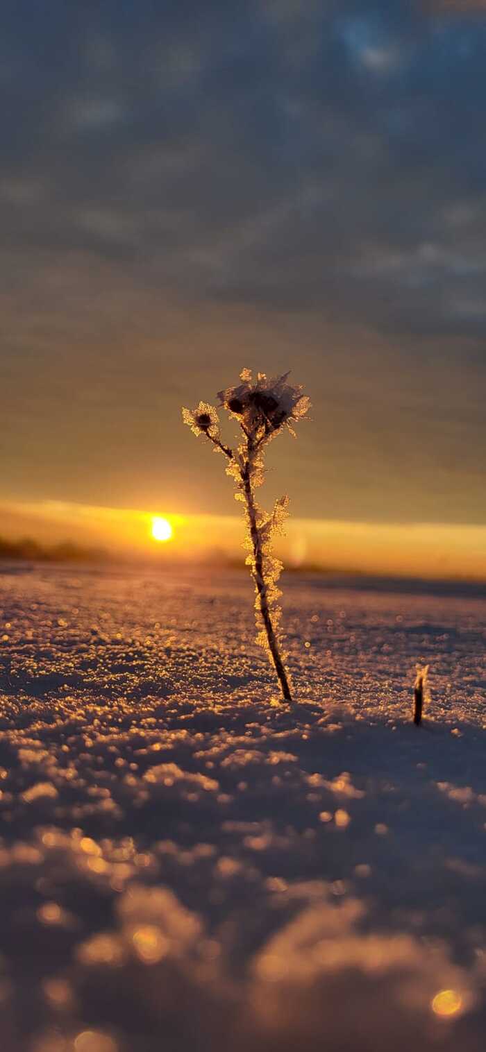 ����� �� ���� �������� ������ ���������� �� ������