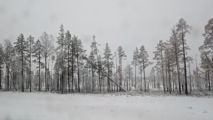 ����� �� ���� �������� ������ ���������� �� ������