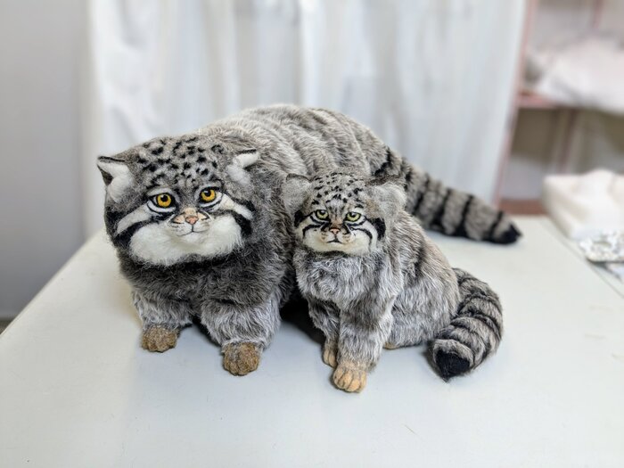 ��� � ���� ��������� ����� �� �������� ������� :3