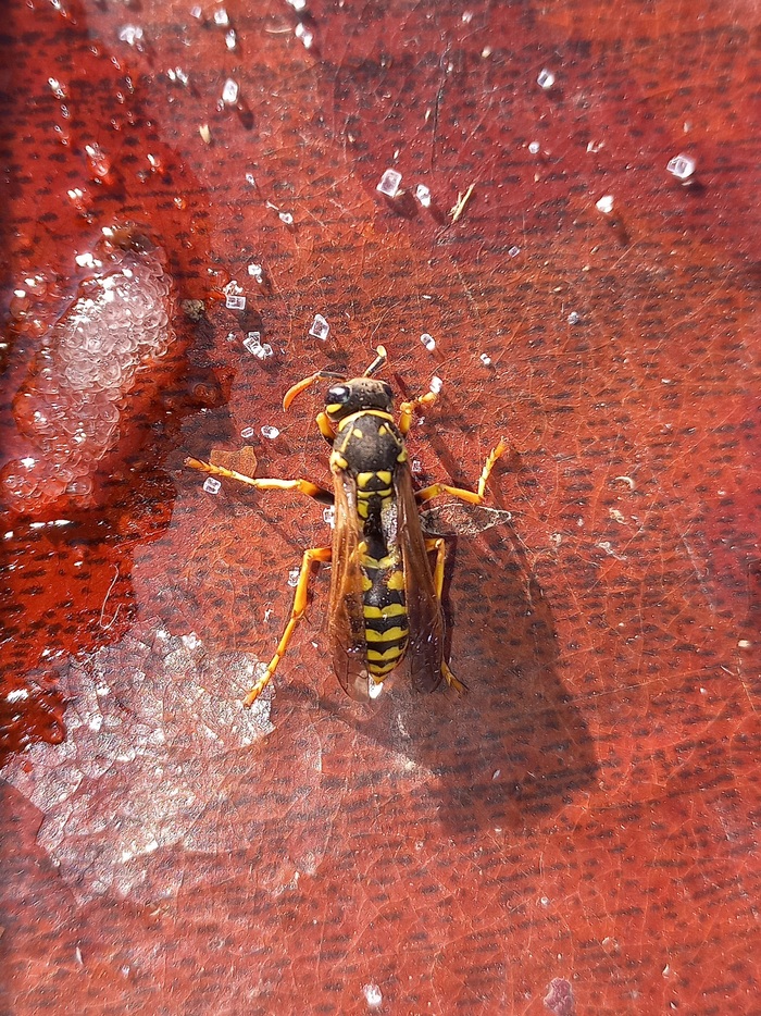 �� ���� ��� ������� ����� ��������� ������� � ��������, ����� �� ������.