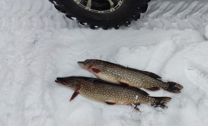 Обе потянули на четыре двести
