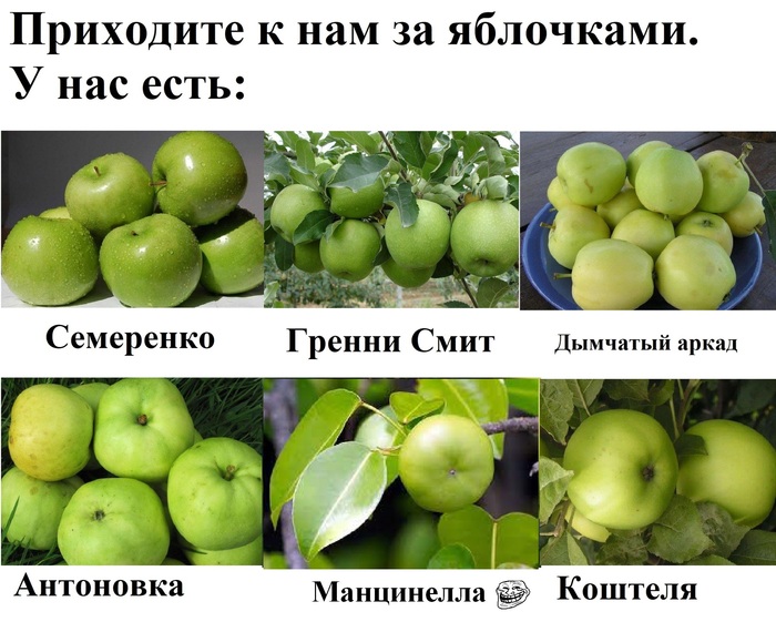 Ответ vadbel1310 в «Кассир пятерочки хотел обмануть покупательницу»