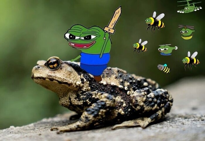 Дезинфектор выгоняет клопов.