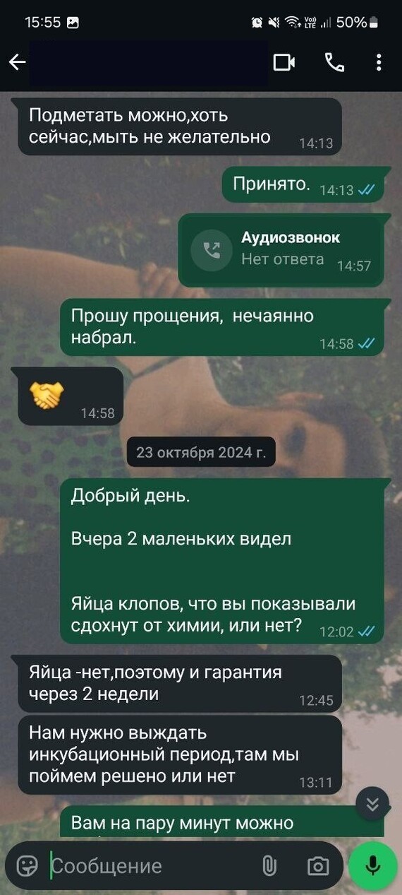 Рассказываю о неприятной находке.