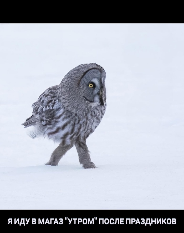 ��� ������ �������.