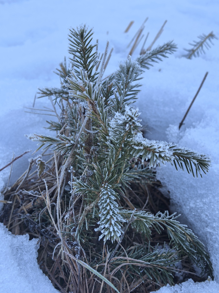 ����� �� ���� �������� ������ ���������� �� ������