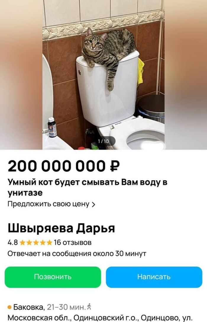 А ещё я вышивать могу. И на машинке тоже