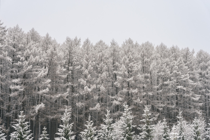 Там же, окраина