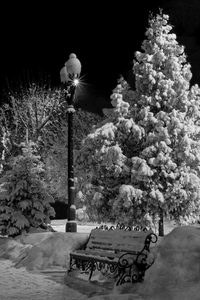 Зимняя аллея