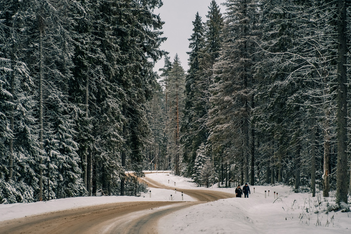 Ну и несколько кадров с обратной дороги до ж/д станции
